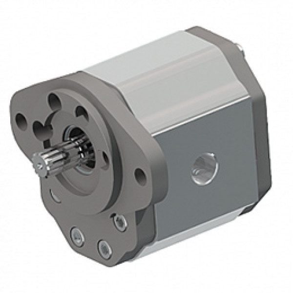 Gear Motors Group 3: SAE “B” standard - two holes