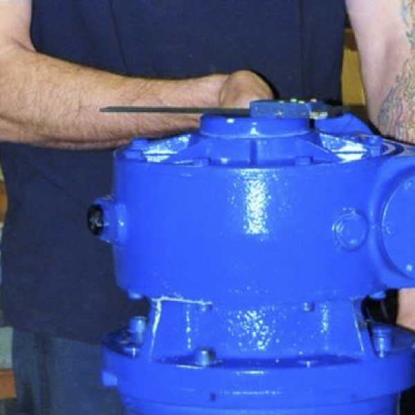 Onshore and offshore support