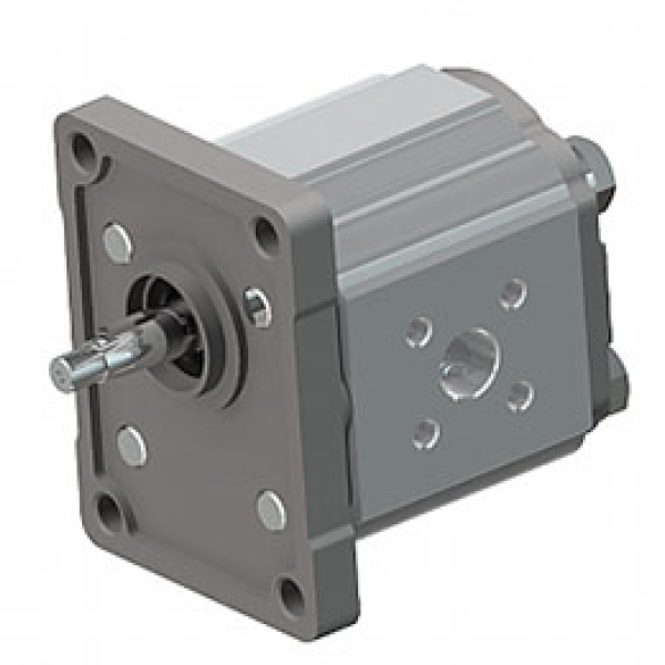 Gear Motors Group 1: European Standard