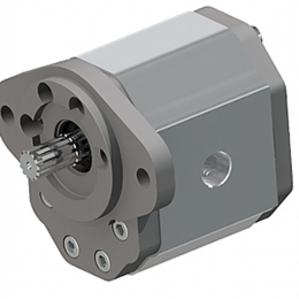 Pumps Group 3: SAE “B” standard - two holes