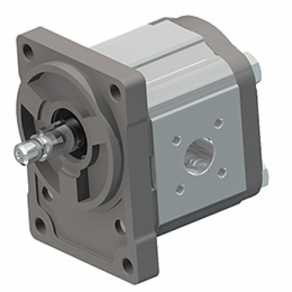 Pumps Group 2: German Standard