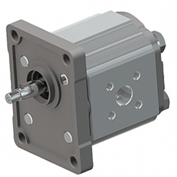 Pumps Group 1: European Standard Pumps